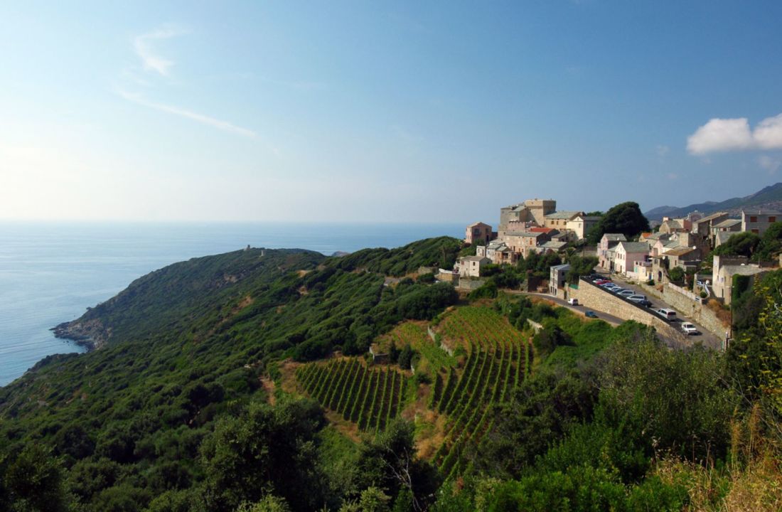 La Corse au fil des vins